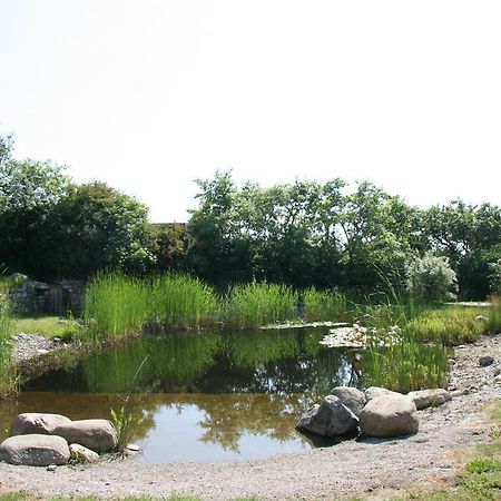 Dorphus Villa Neuenkirchen auf Rugen ภายนอก รูปภาพ