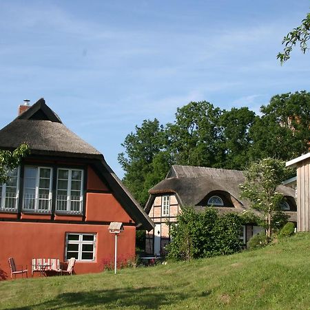 Dorphus Villa Neuenkirchen auf Rugen ภายนอก รูปภาพ